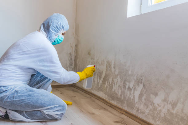 Mold inspector in Brush Prairie performing thermal imaging